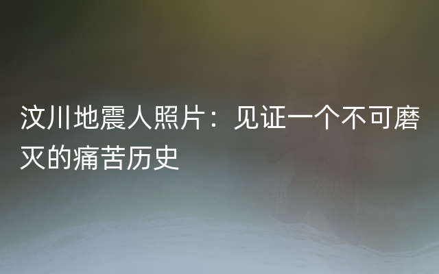 汶川地震人照片：见证一个不可磨灭的痛苦历史