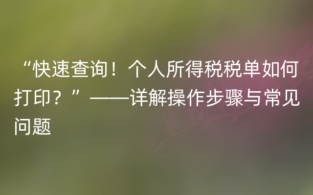 “快速查询！个人所得税税单如何打印？”——详解操作步骤与常见问题