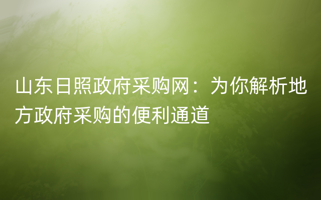 山东日照政府采购网：为你解析地方政府采购的便利通道