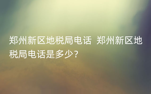 郑州新区地税局电话  郑州新区地税局电话是多少？