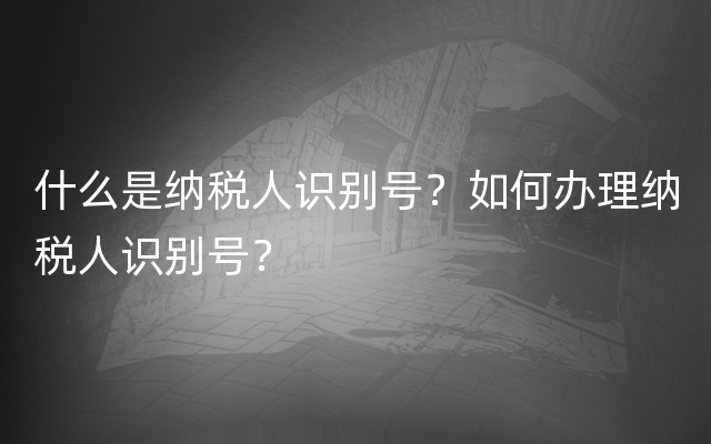 什么是纳税人识别号？如何办理纳税人识别号？