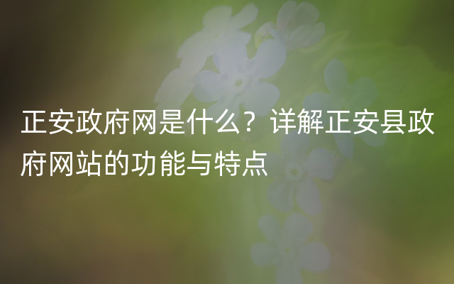 正安政府网是什么？详解正安县政府网站的功能与特点