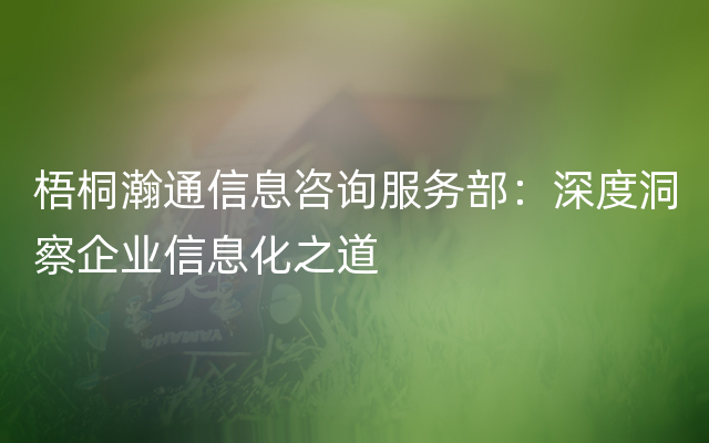 梧桐瀚通信息咨询服务部：深度洞察企业信息化之道