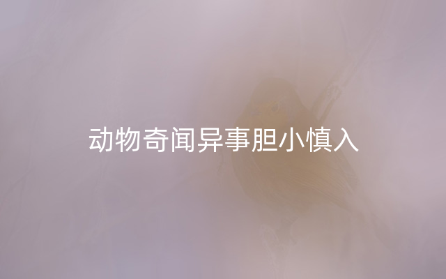 动物奇闻异事胆小慎入