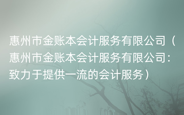 惠州市金账本会计服务有限公司（惠州市金账本会计服务有限公司：致力于提供一流的会计