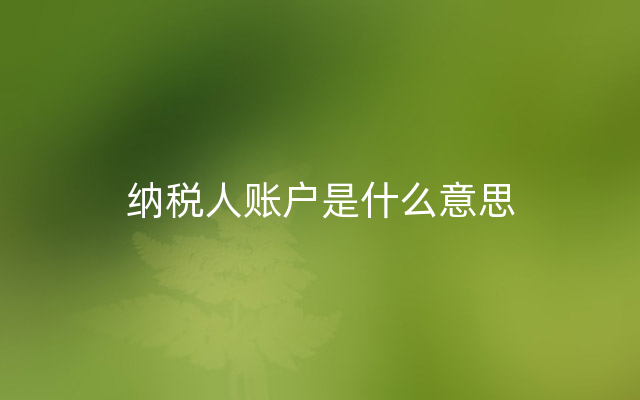 纳税人账户是什么意思