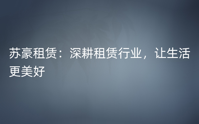 苏豪租赁：深耕租赁行业，让生活更美好