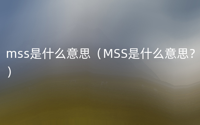 mss是什么意思（MSS是什么意思？）