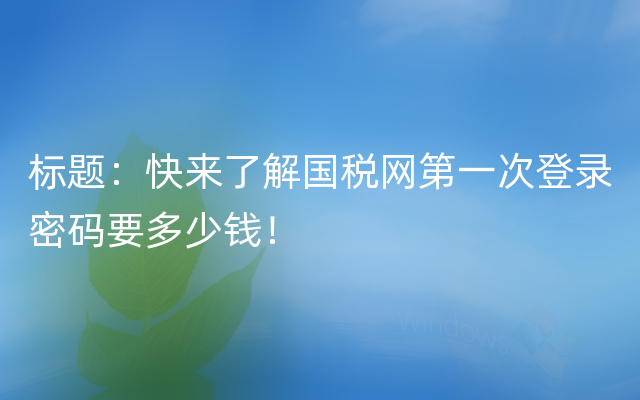 标题：快来了解国税网第一次登录密码要多少钱！