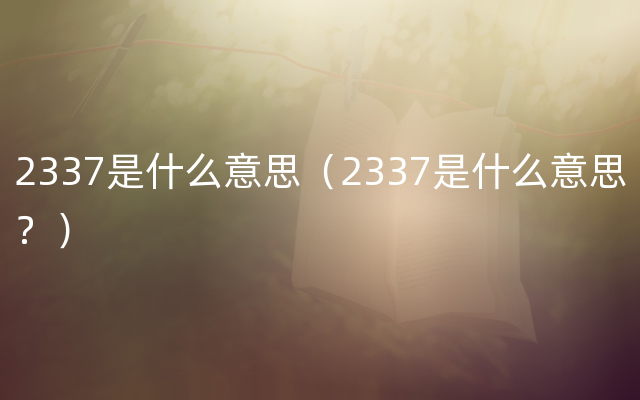 2337是什么意思（2337是什么意思？）