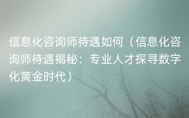 信息化咨询师待遇如何（信息化咨询师待遇揭秘：专业人才探寻数字化黄金时代）