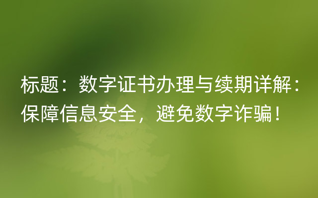 标题：数字证书办理与续期详解：保障信息安全，避