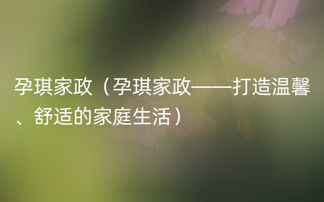 孕琪家政（孕琪家政——打造温馨、舒适的家庭生活）