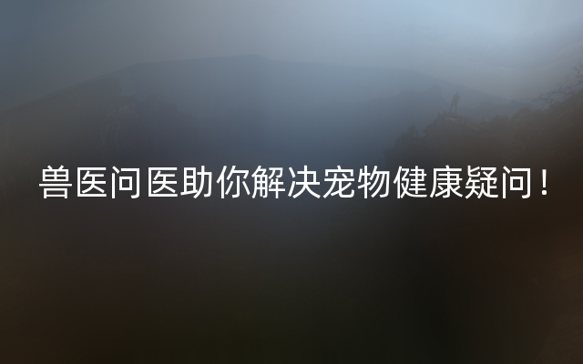 兽医问医助你解决宠物健康疑问！