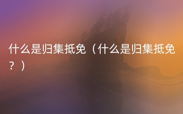 什么是归集抵免（什么是归集抵免？）