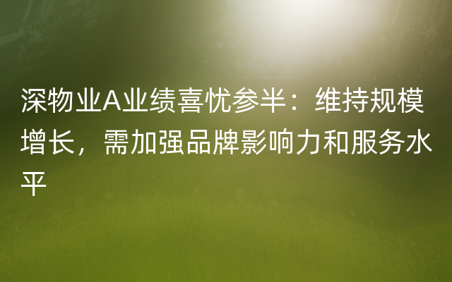 深物业A业绩喜忧参半：维持规模增长，需加强品牌影响力和服务水平