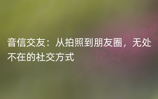 音信交友：从拍照到朋友圈，无处不在的社交方式