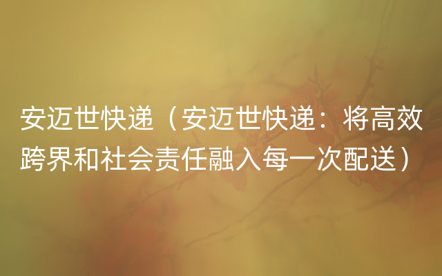 安迈世快递（安迈世快递：将高效跨界和社会责任融入每一次配送）