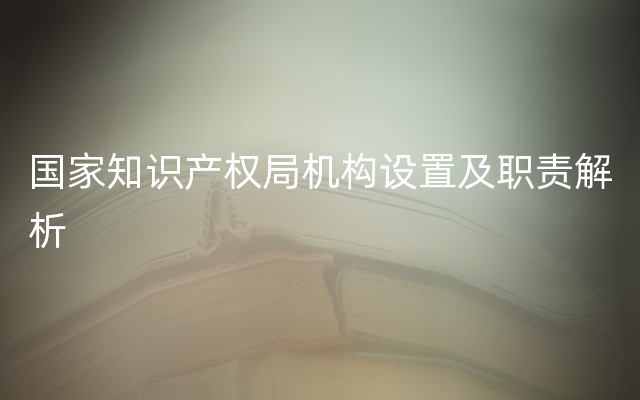 国家知识产权局机构设置及职责解析