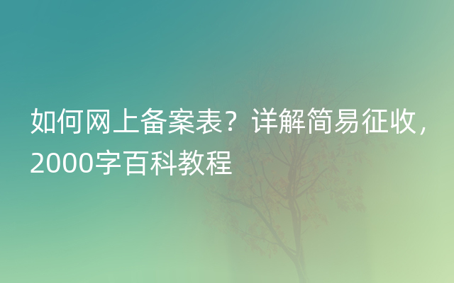 如何网上备案表？详解简易征收，2000字百科教程