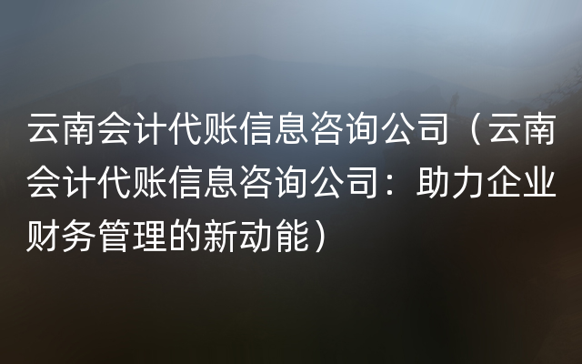 云南会计代账信息咨询公司（云南会计代账信息咨询公司：助力企业财务管理的新动能）