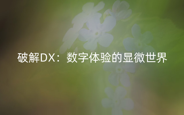 破解DX：数字体验的显微世界