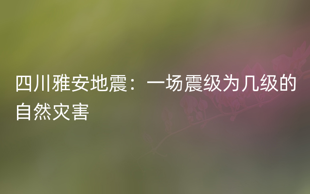 四川雅安地震：一场震级为几级的自然灾害