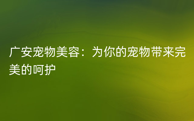 广安宠物美容：为你的宠物带来完美的呵护