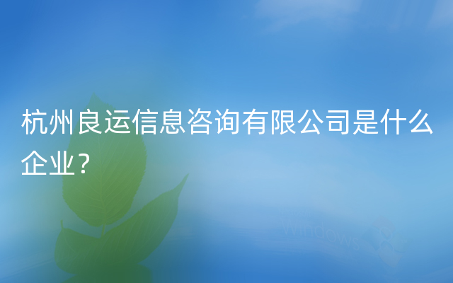 杭州良运信息咨询有限公司是什么企业？