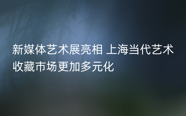 新媒体艺术展亮相 上海当代艺术收藏市场更加多元化