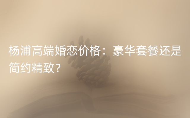 杨浦高端婚恋价格：豪华套餐还是简约精致？