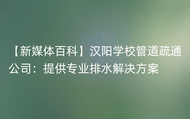 【新媒体百科】汉阳学校管道疏通公司：提供专业排水解决方案