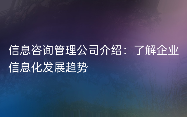 信息咨询管理公司介绍：了解企业信息化发展趋势