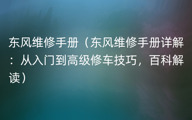 东风维修手册（东风维修手册详解：从入门到高级修