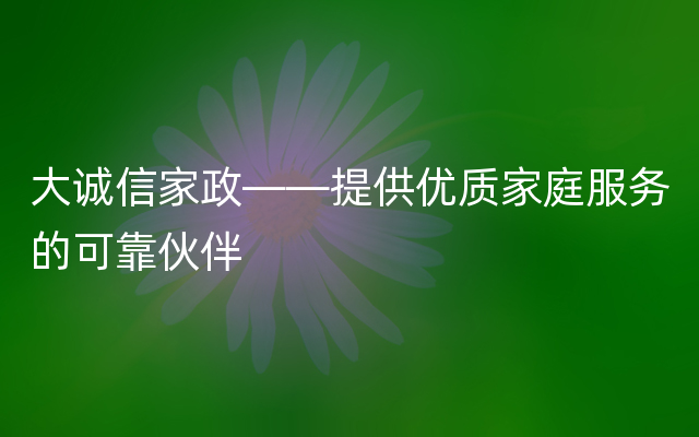 大诚信家政——提供优质家庭服务的可靠伙伴