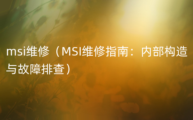 msi维修（MSI维修指南：内部构造与故障排查）