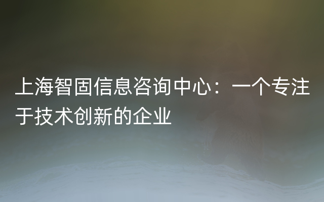 上海智固信息咨询中心：一个专注于技术创新的企业