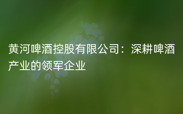 黄河啤酒控股有限公司：深耕啤酒产业的领军企业