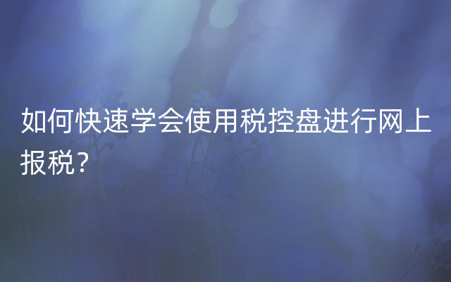 如何快速学会使用税控盘进行网上报税？