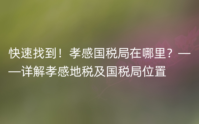 快速找到！孝感国税局在哪里？——详解孝感地税及国税局位置