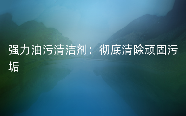 强力油污清洁剂：彻底清除顽固污垢