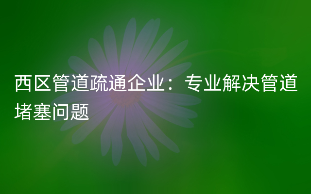 西区管道疏通企业：专业解决管道堵塞问题