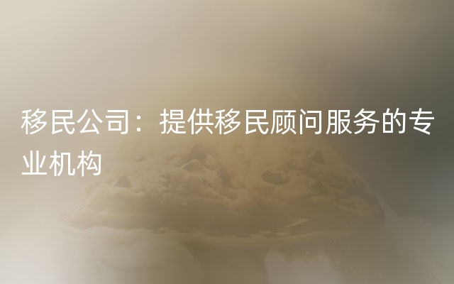 移民公司：提供移民顾问服务的专业机构