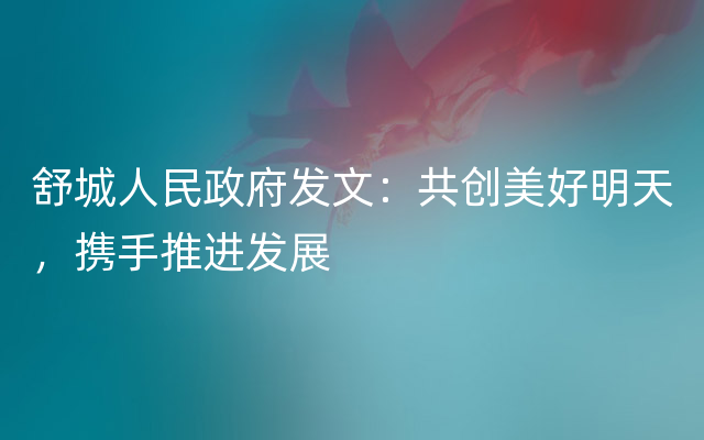 舒城人民政府发文：共创美好明天，携手推进发展