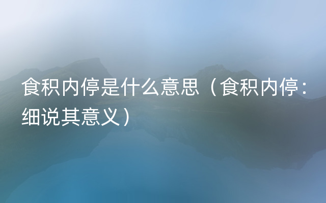 食积内停是什么意思（食积内停：细说其意义）