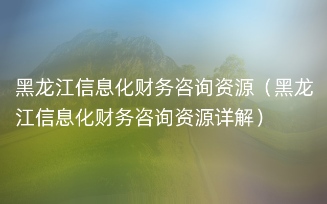 黑龙江信息化财务咨询资源（黑龙江信息化财务咨询资源详解）