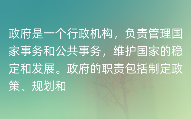 政府是一个行政机构，负责管理国家事务和公共事务，维护国家的稳定和发展。政府的职责