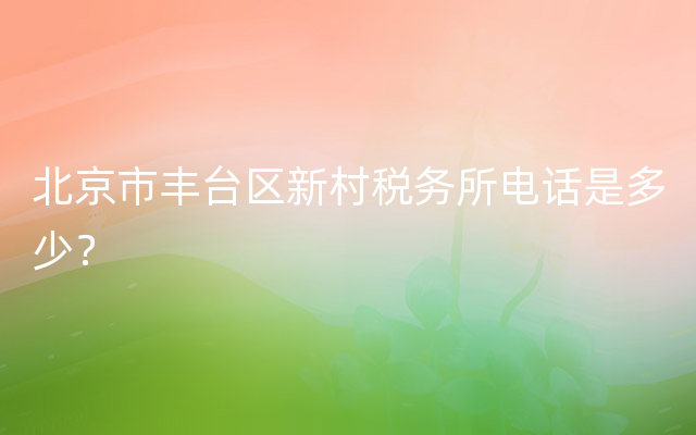 北京市丰台区新村税务所电话是多少？