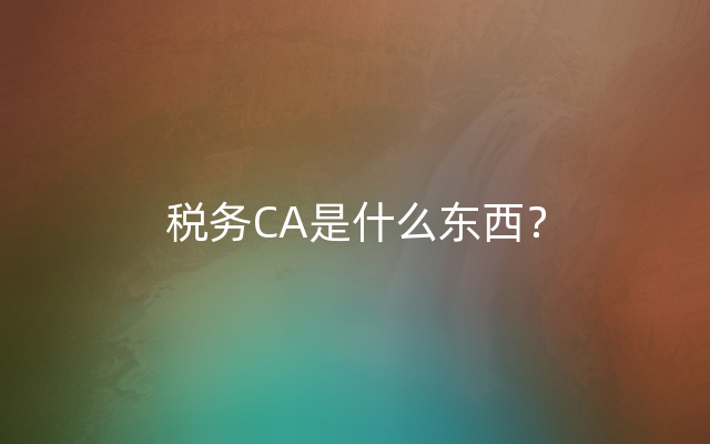 税务CA是什么东西？