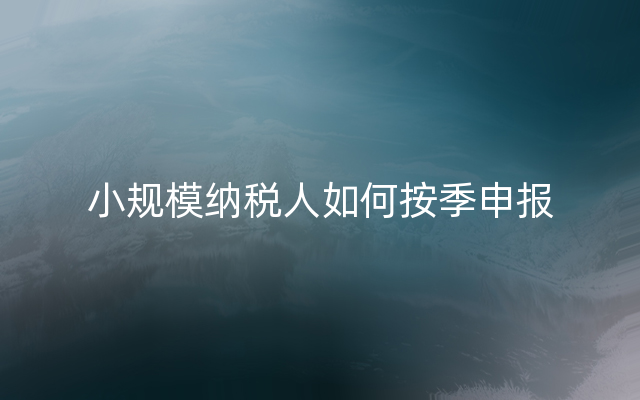 小规模纳税人如何按季申报